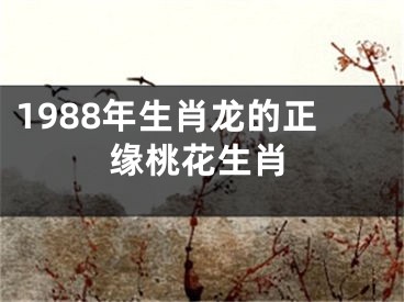 1988年生肖龙的正缘桃花生肖