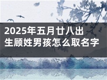 2025年五月廿八出生顾姓男孩怎么取名字