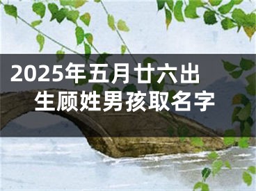 2025年五月廿六出生顾姓男孩取名字