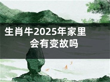 生肖牛2025年家里会有变故吗