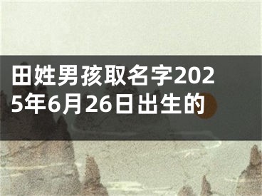 田姓男孩取名字2025年6月26日出生的