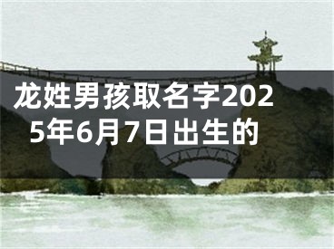 龙姓男孩取名字2025年6月7日出生的