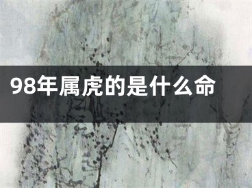 98年属虎的是什么命