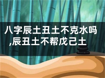 八字辰土丑土不克水吗,辰丑土不帮戊己土