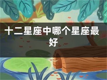 十二星座中哪个星座最好