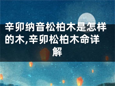 辛卯纳音松柏木是怎样的木,辛卯松柏木命详解