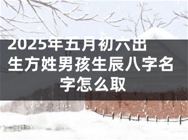 2025年五月初六出生方姓男孩生辰八字名字怎么取