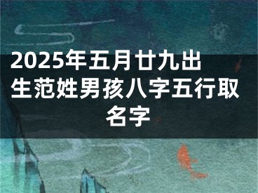 2025年五月廿九出生范姓男孩八字五行取名字