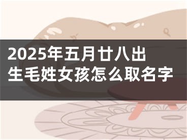 2025年五月廿八出生毛姓女孩怎么取名字