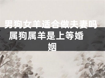 男狗女羊适合做夫妻吗  属狗属羊是上等婚姻