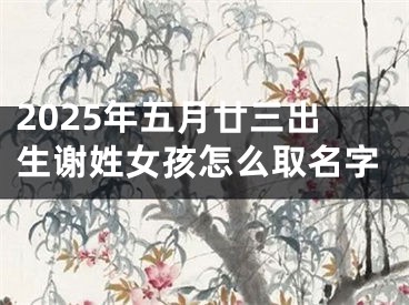 2025年五月廿三出生谢姓女孩怎么取名字