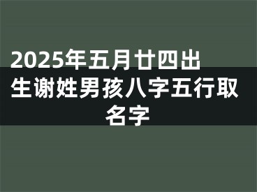 2025年五月廿四出生谢姓男孩八字五行取名字