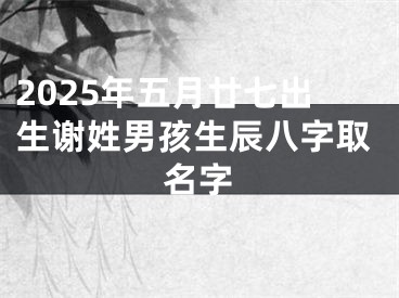 2025年五月廿七出生谢姓男孩生辰八字取名字