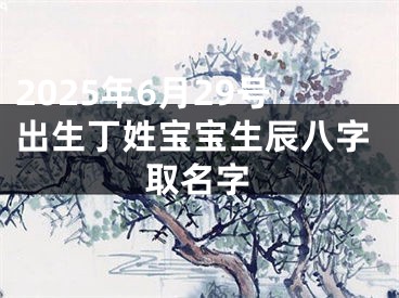 2025年6月29号出生丁姓宝宝生辰八字取名字