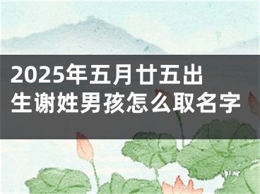 2025年五月廿五出生谢姓男孩怎么取名字