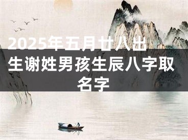 2025年五月廿八出生谢姓男孩生辰八字取名字