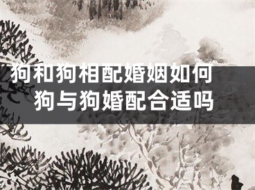 狗和狗相配婚姻如何 狗与狗婚配合适吗