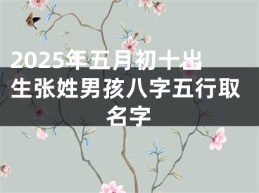 2025年五月初十出生张姓男孩八字五行取名字