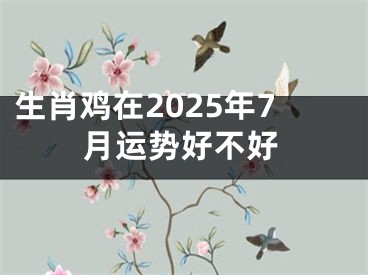 生肖鸡在2025年7月运势好不好