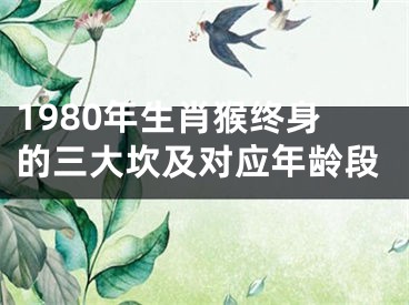 1980年生肖猴终身的三大坎及对应年龄段