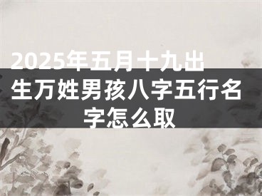 2025年五月十九出生万姓男孩八字五行名字怎么取