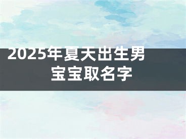 2025年夏天出生男宝宝取名字