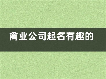禽业公司起名有趣的