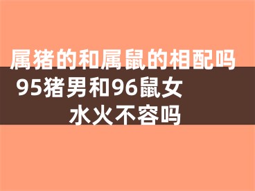 属猪的和属鼠的相配吗 95猪男和96鼠女水火不容吗