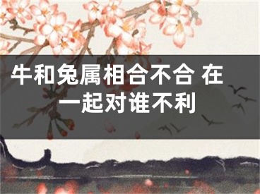 牛和兔属相合不合 在一起对谁不利