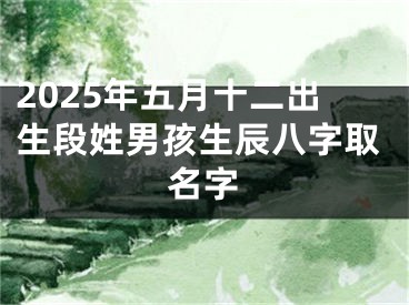 2025年五月十二出生段姓男孩生辰八字取名字
