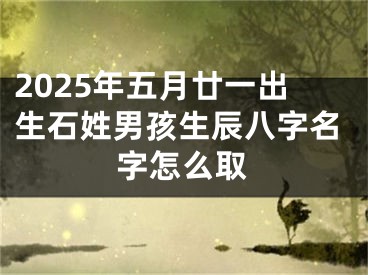 2025年五月廿一出生石姓男孩生辰八字名字怎么取