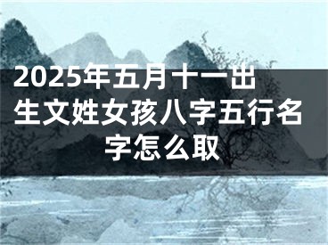 2025年五月十一出生文姓女孩八字五行名字怎么取