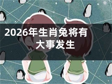 2026年生肖兔将有大事发生