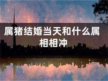 属猪结婚当天和什么属相相冲
