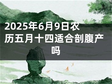 2025年6月9日农历五月十四适合剖腹产吗