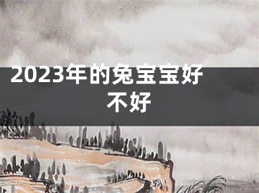 2023年的兔宝宝好不好