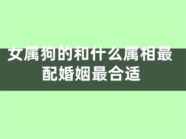 女属狗的和什么属相最配婚姻最合适