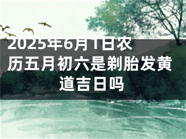 2025年6月1日农历五月初六是剃胎发黄道吉日吗