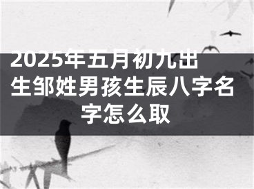 2025年五月初九出生邹姓男孩生辰八字名字怎么取