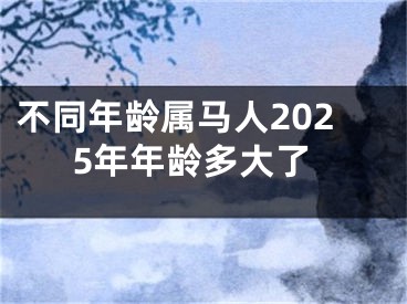 不同年龄属马人2025年年龄多大了