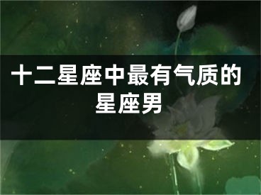 十二星座中最有气质的星座男