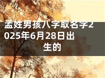 孟姓男孩八字取名字2025年6月28日出生的