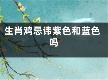 生肖鸡忌讳紫色和蓝色吗