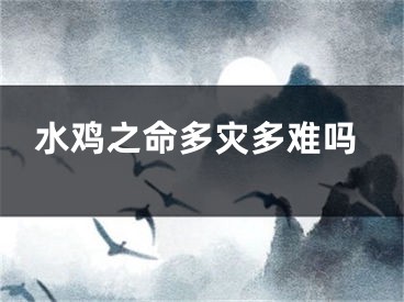 水鸡之命多灾多难吗