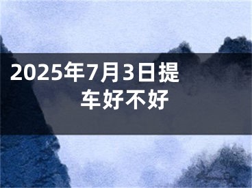 2025年7月3日提车好不好