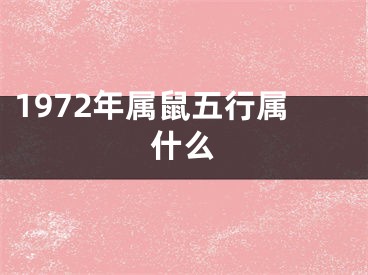 1972年属鼠五行属什么