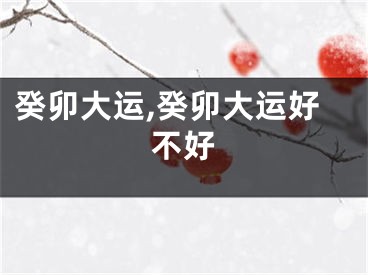 癸卯大运,癸卯大运好不好