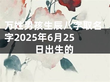 万姓男孩生辰八字取名字2025年6月25日出生的