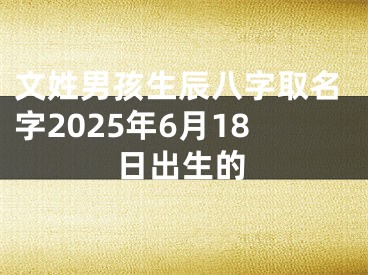 文姓男孩生辰八字取名字2025年6月18日出生的