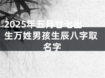 2025年五月廿七出生万姓男孩生辰八字取名字